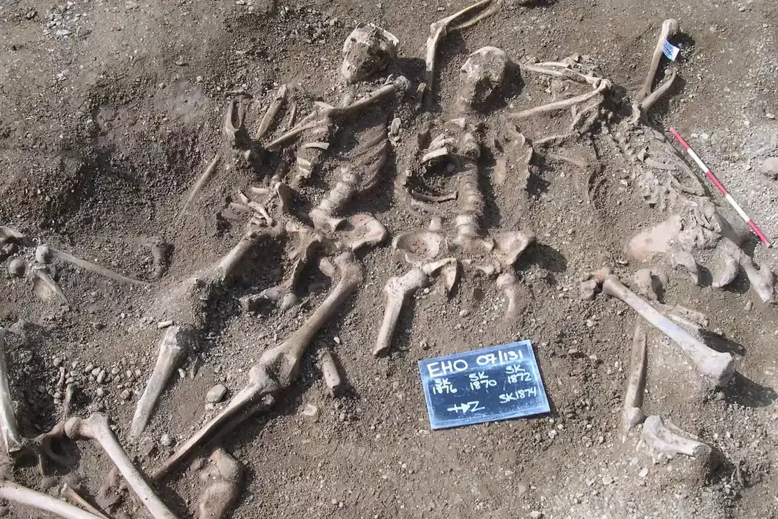 Massacred 10th century Vikings found in a mass grave at St John’s College