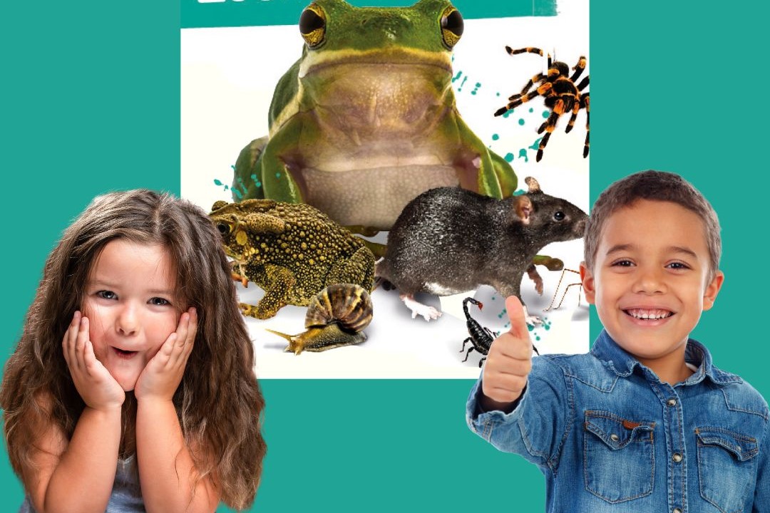A toad, frog, rat, tarantula, snail and scorpion are superimposed over a turquoise background, with two children standing in front and smiling.