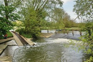 photograph of a weir in a river with rollers going into the river for boats. There are lots of trees on the river banks.