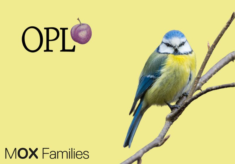 Blue tit perched on a twig on pale yellow background. MOX families logo is in one corner in one corner. The Oxford Poetry Library logo is above it in black with a dark red apple.
